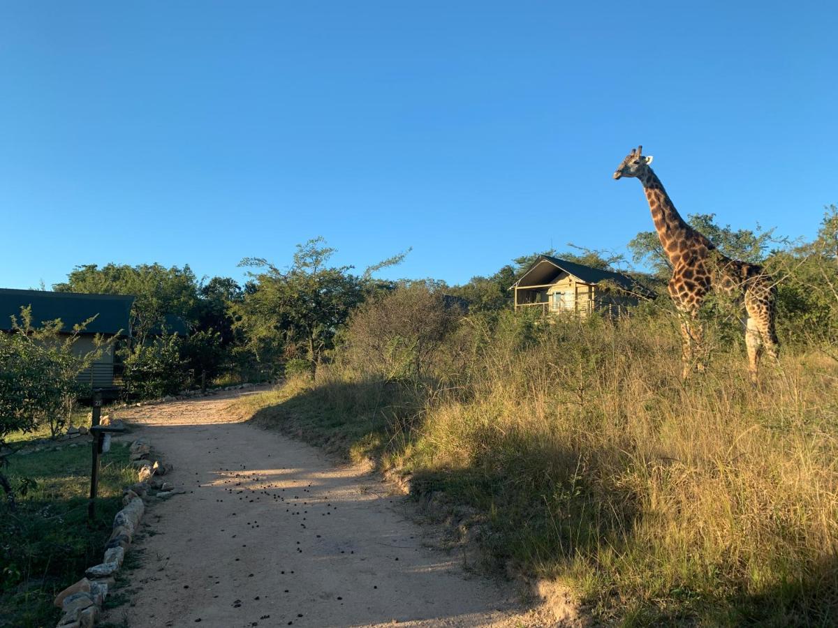 Ndhula Luxury Tented Lodge White River Exterior foto